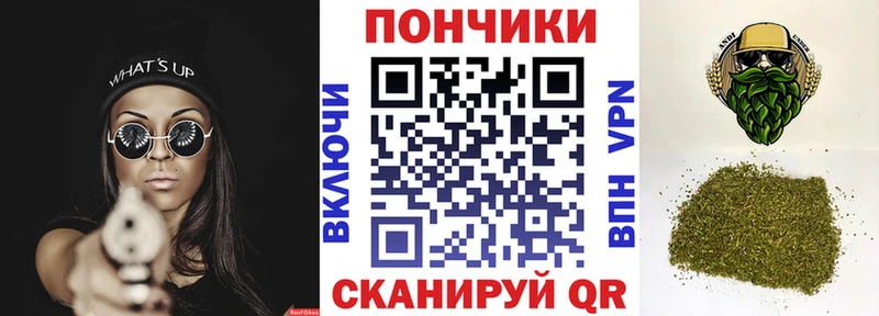 Купить закладку Дмитров Канабис  АМФ  КОКАИН  Alpha-PVP  ГАШ  Мефедрон 