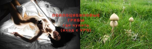 соль курить ск Гусиноозёрск