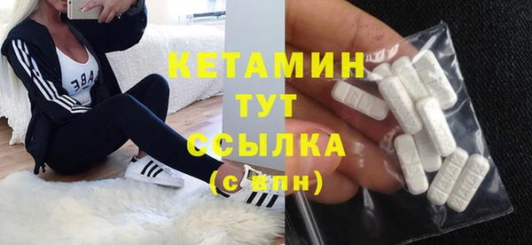 сатива Гусь-Хрустальный