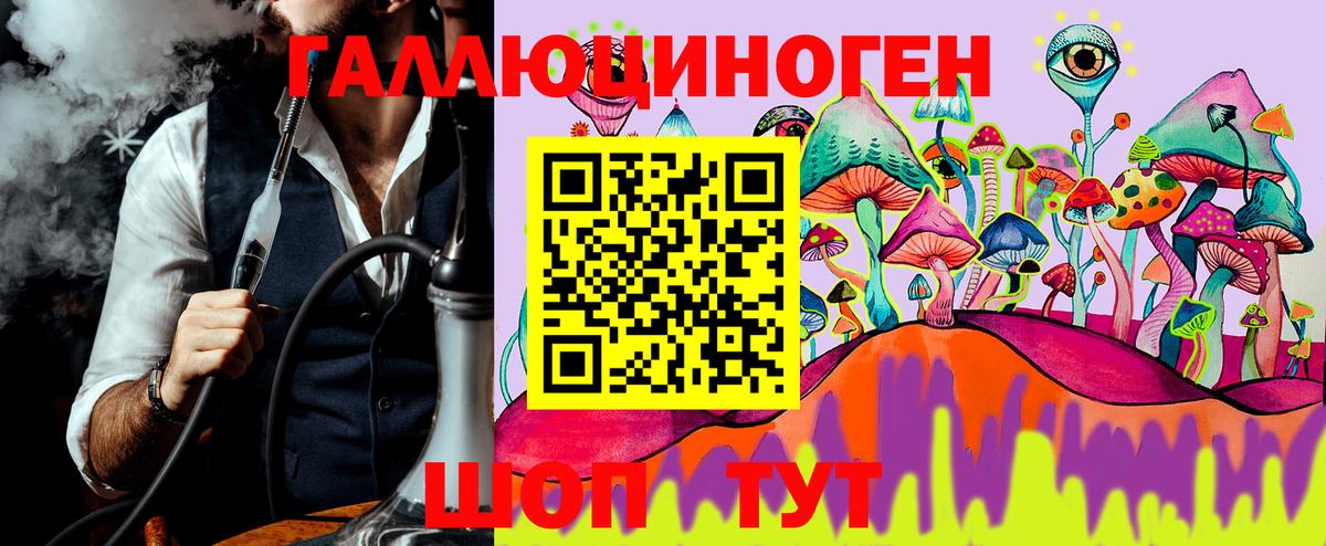 Галлюциногенные грибы Psilocybe Дмитров