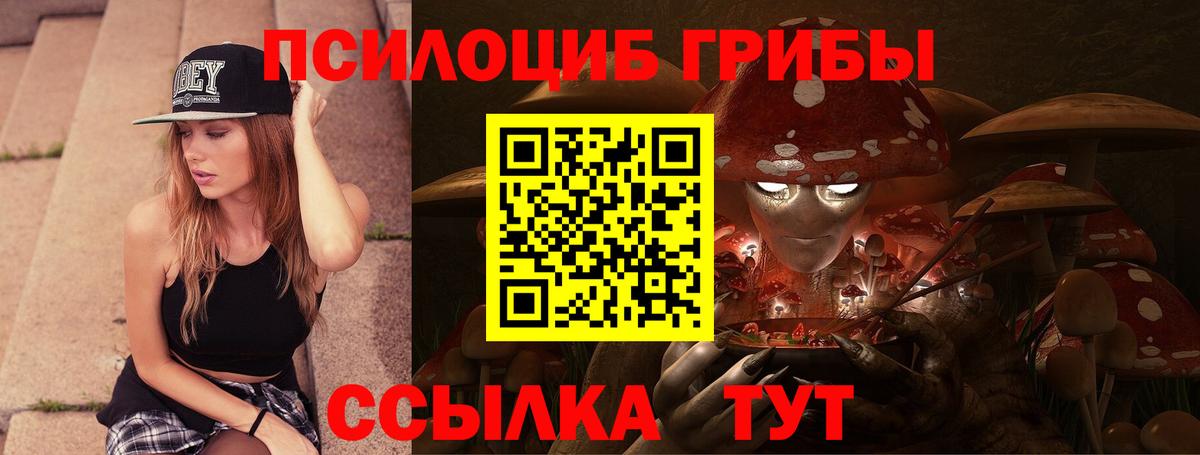 Псилоцибиновые грибы Cubensis Дмитров