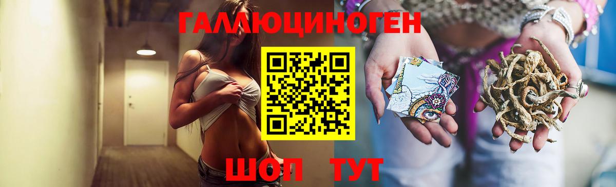 Псилоцибиновые грибы GOLDEN TEACHER  Вход с VPN  Псилоцибиновые грибы MAGIC MUSHROOMS  Дмитров 